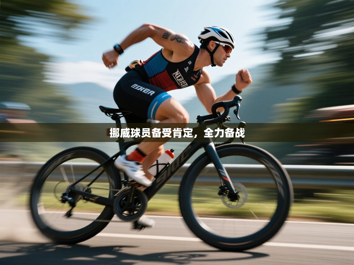 挪威球员备受肯定，全力备战  第2张