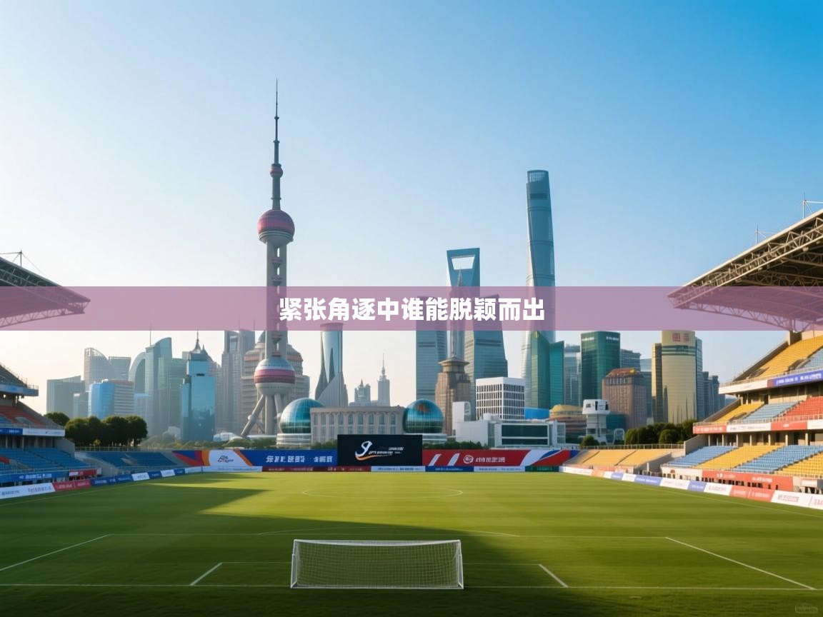 紧张角逐中谁能脱颖而出  第1张