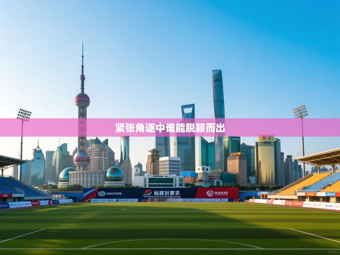 紧张角逐中谁能脱颖而出  第2张