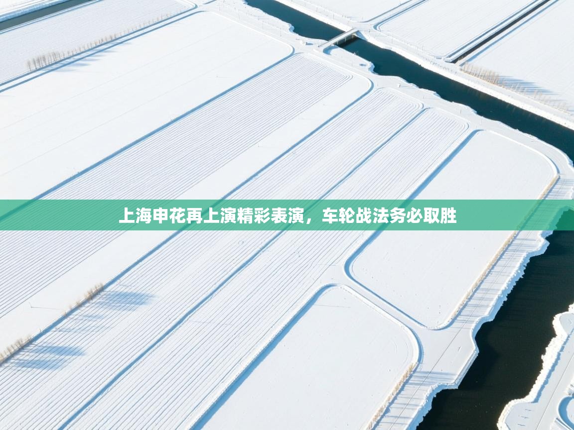 上海申花再上演精彩表演，车轮战法务必取胜  第2张