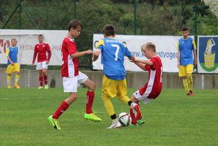 开云体育官网-多特蒙德欧冠资格岌岌可危，遭遇再次失利，多特蒙德首夺欧冠